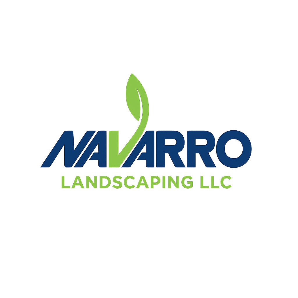 Navarro new logo with bg removed